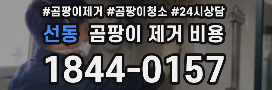 선동 곰팡이 제거 비용
