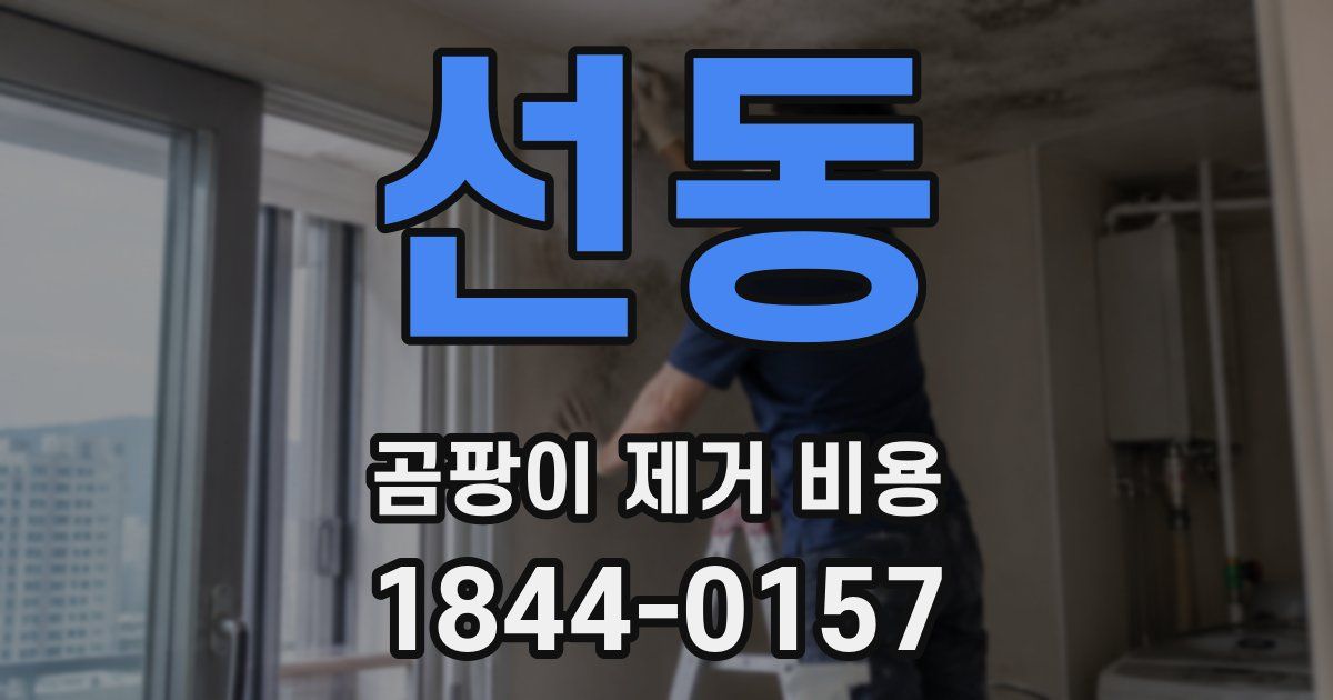 선동 곰팡이 제거 비용