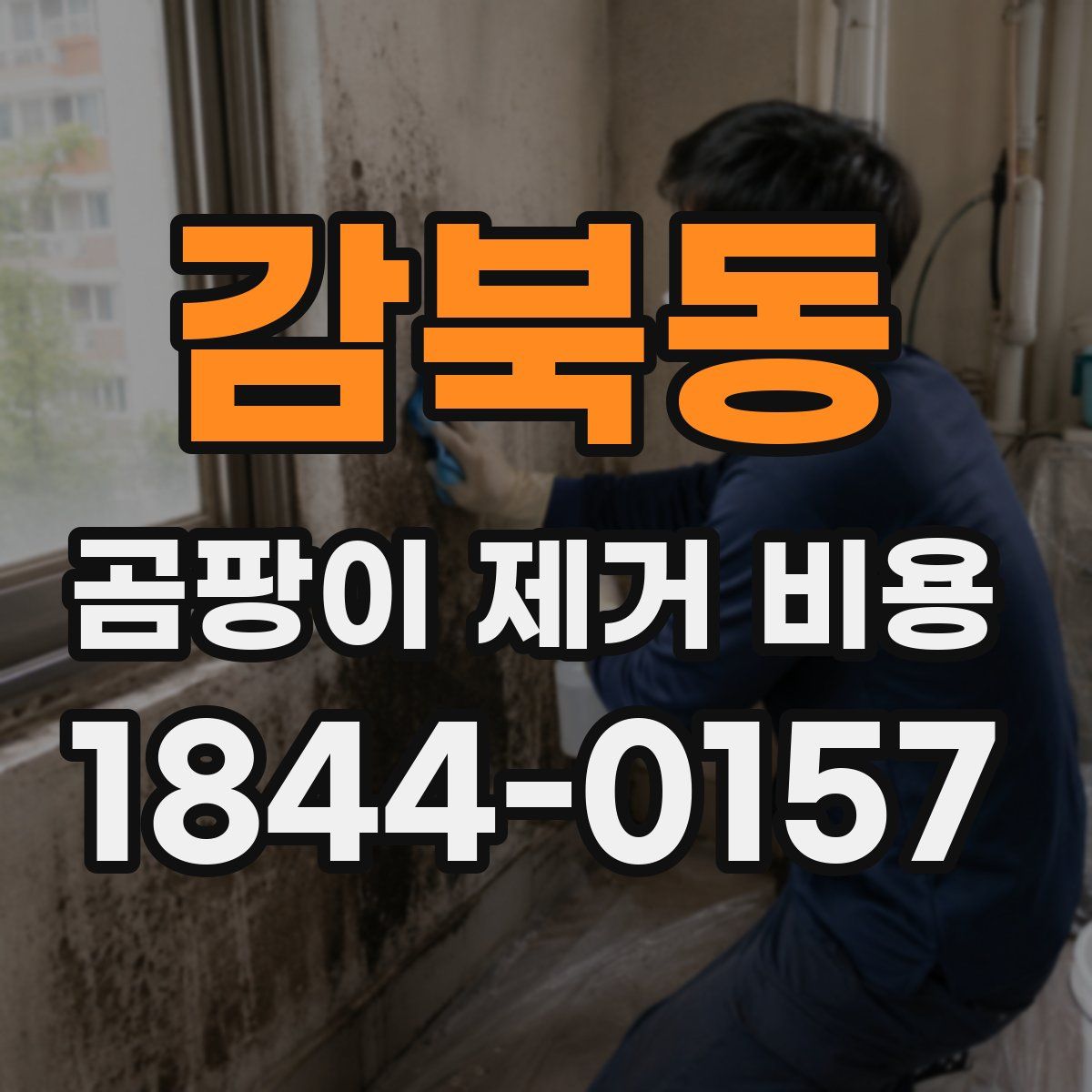 감북동 곰팡이 제거 비용