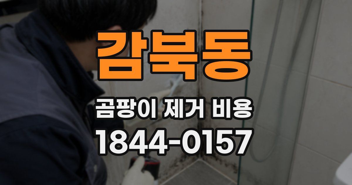 감북동 곰팡이 제거 비용