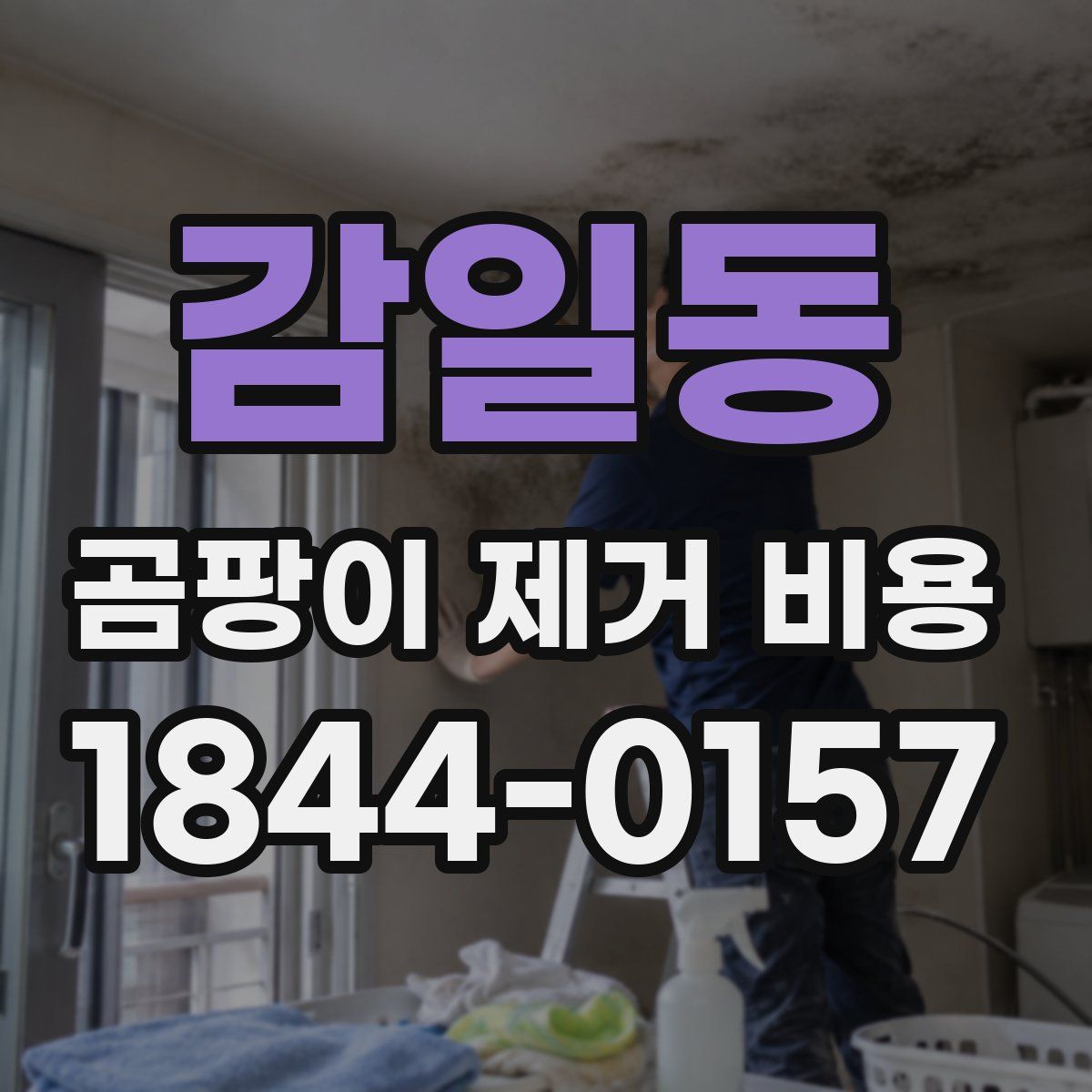 감일동 곰팡이 제거 비용