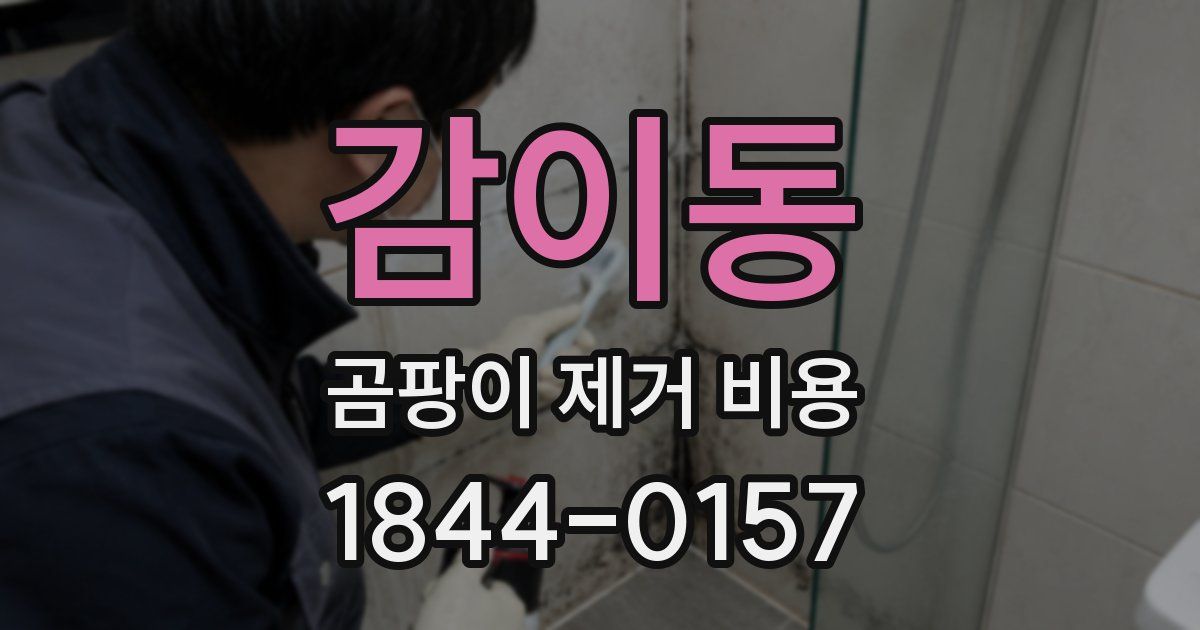 감이동 곰팡이 제거 비용