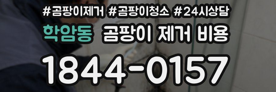 학암동 곰팡이 제거 비용