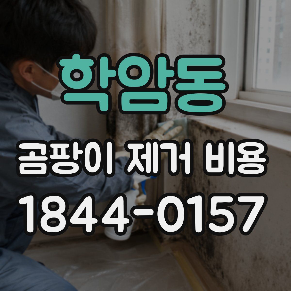 학암동 곰팡이 제거 비용