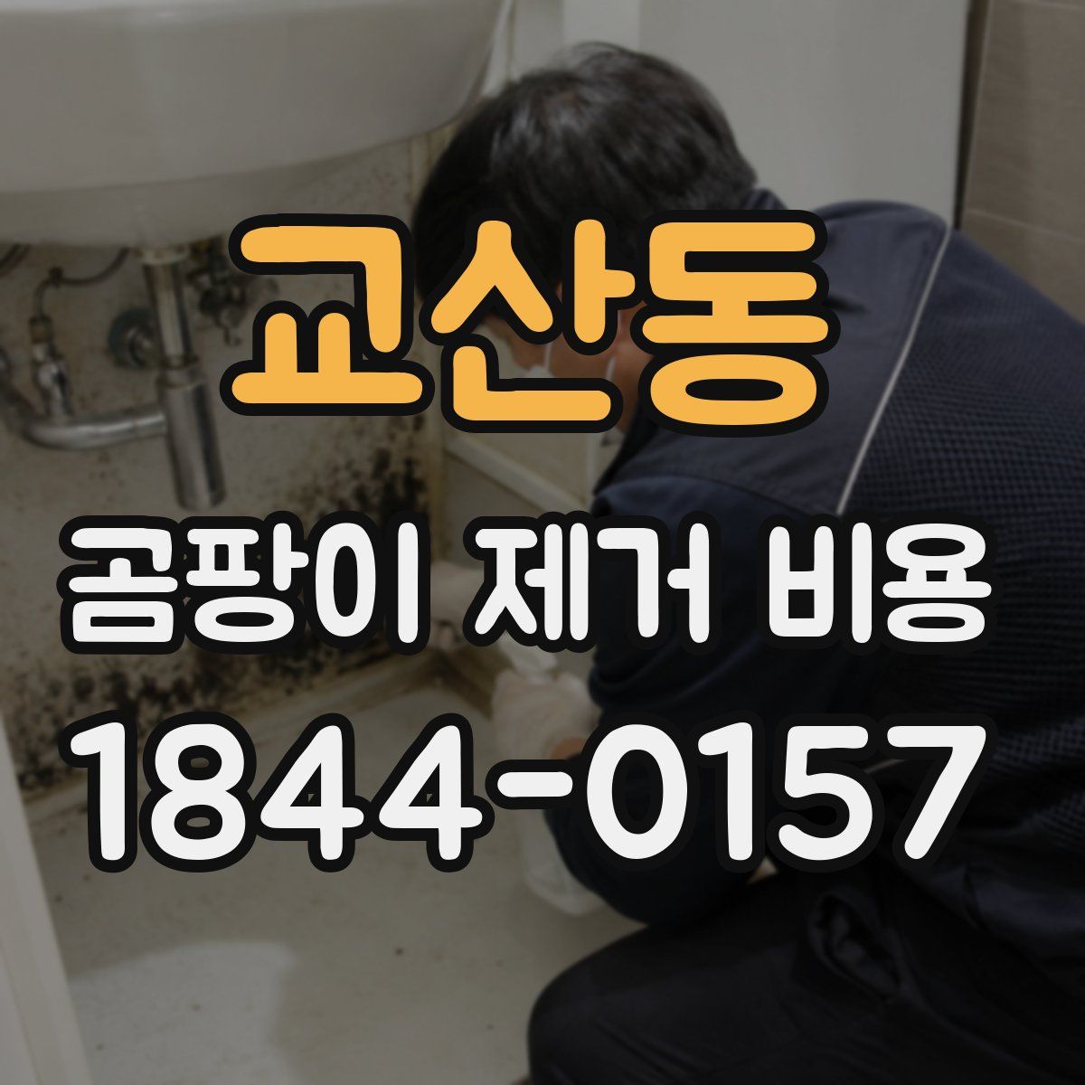 교산동 곰팡이 제거 비용