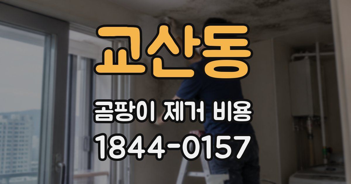 교산동 곰팡이 제거 비용