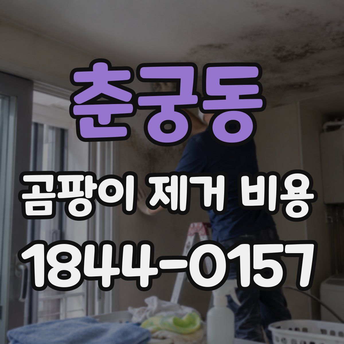 춘궁동 곰팡이 제거 비용