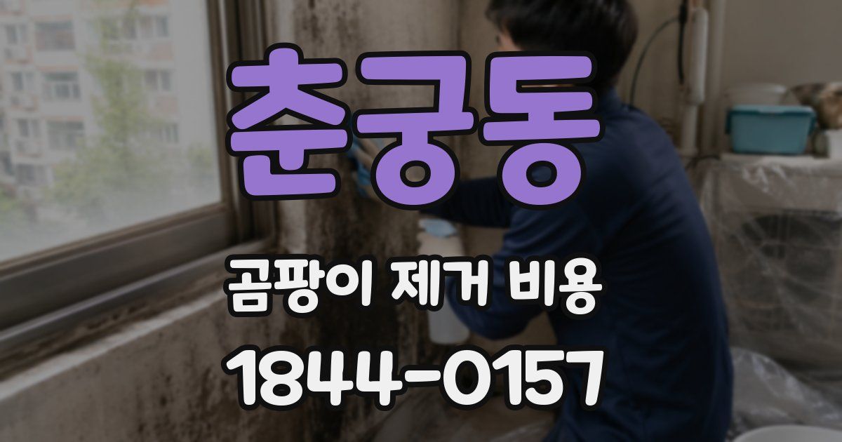 춘궁동 곰팡이 제거 비용