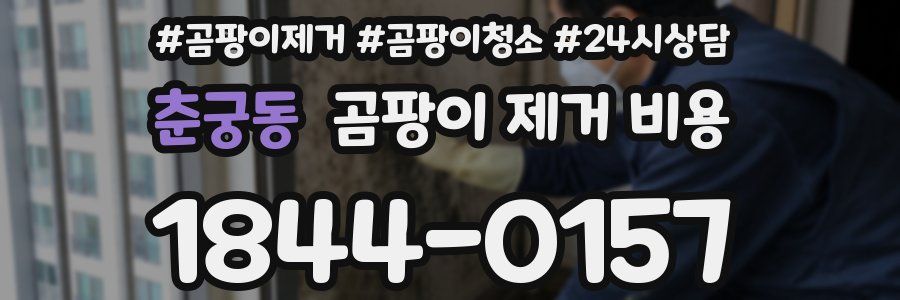 춘궁동 곰팡이 제거 비용