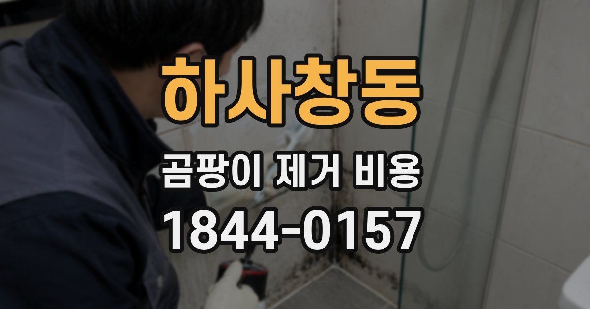 하사창동 곰팡이 제거 비용
