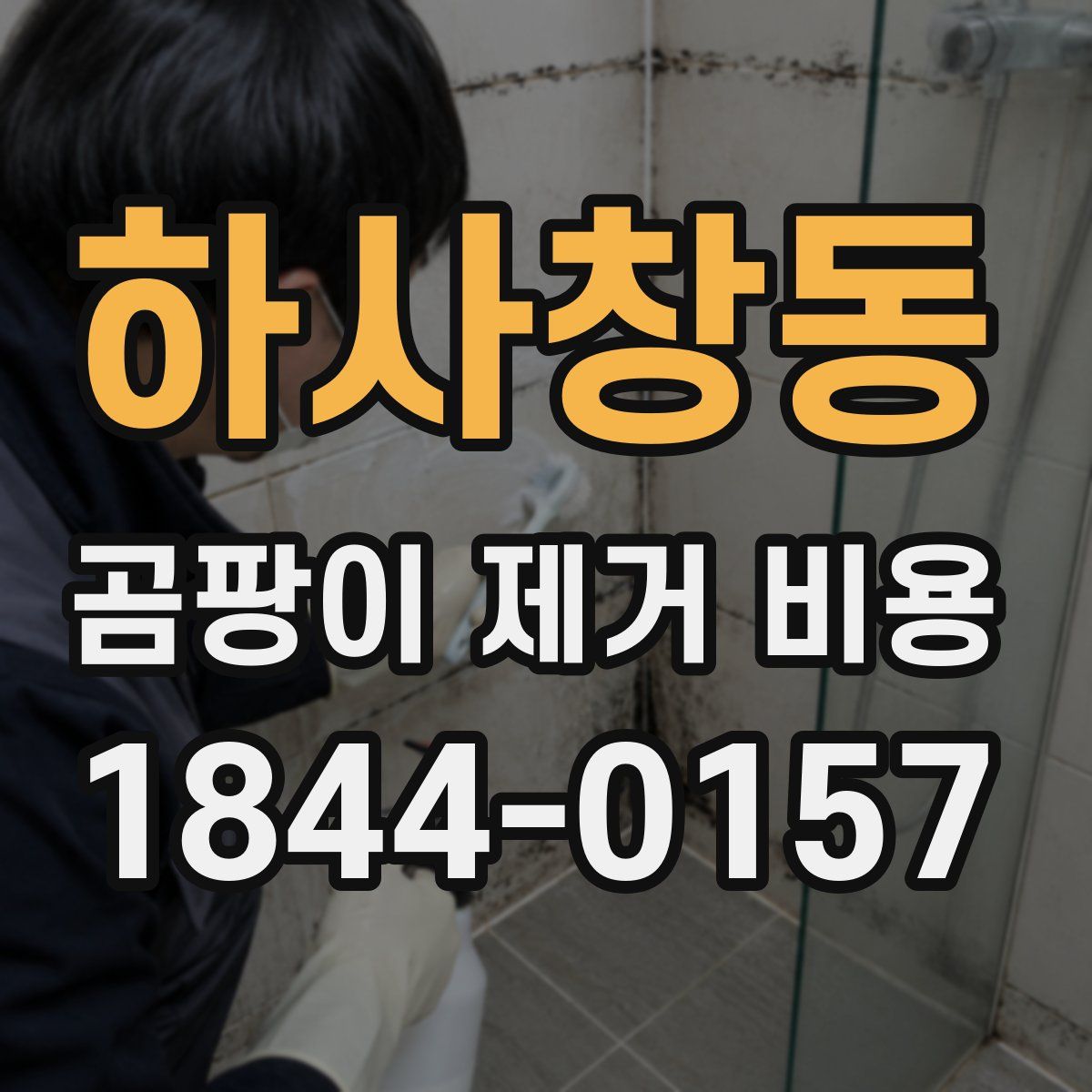 하사창동 곰팡이 제거 비용