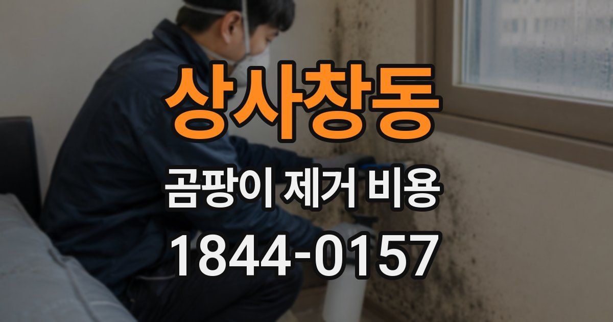 상사창동 곰팡이 제거 비용