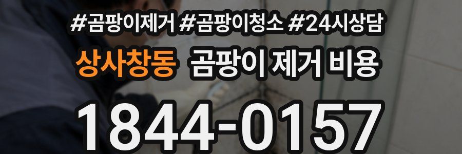 상사창동 곰팡이 제거 비용
