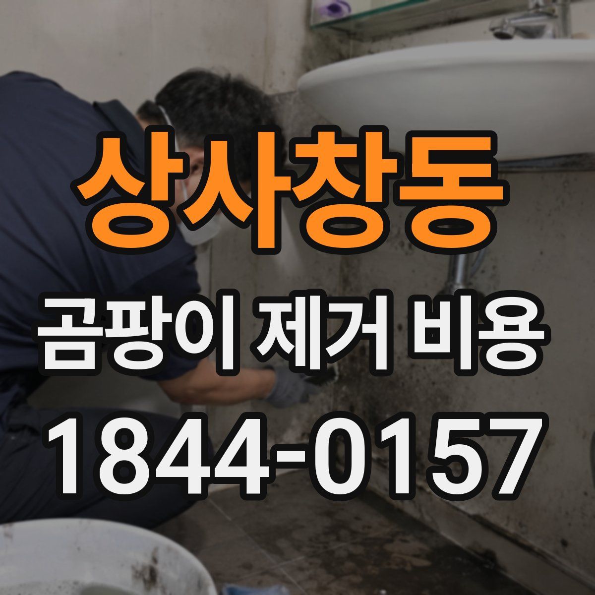 상사창동 곰팡이 제거 비용