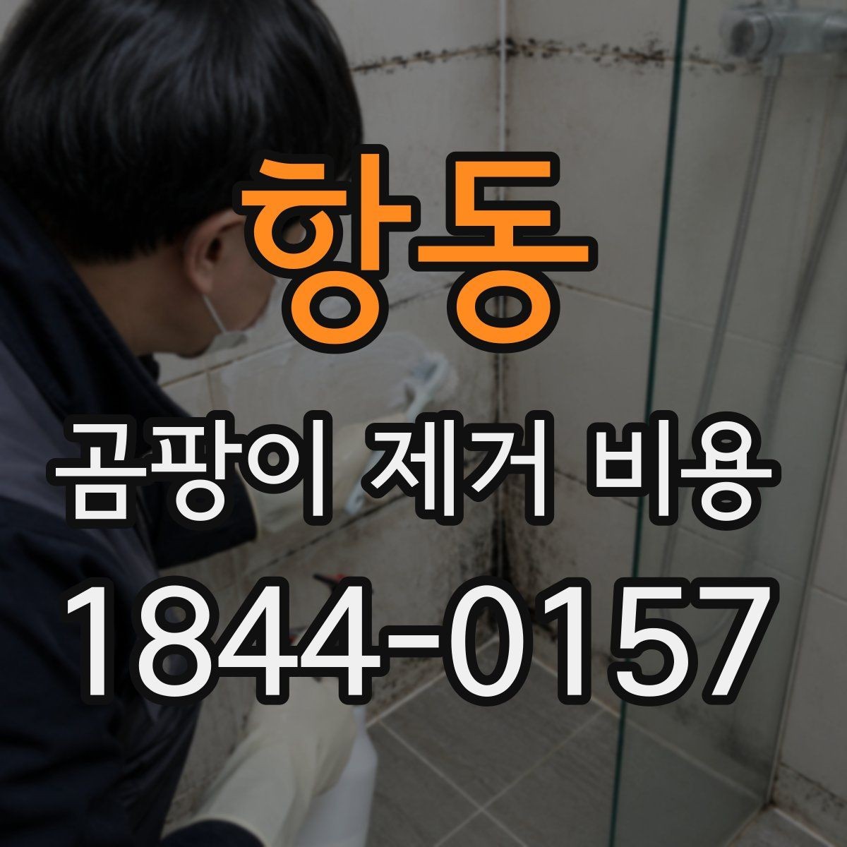 항동 곰팡이 제거 비용 단열 보수까지 포함되는 사례 살펴보기