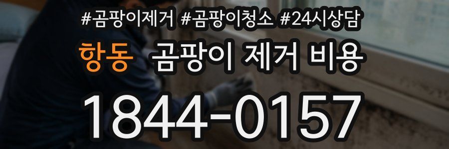 항동 곰팡이 제거 비용