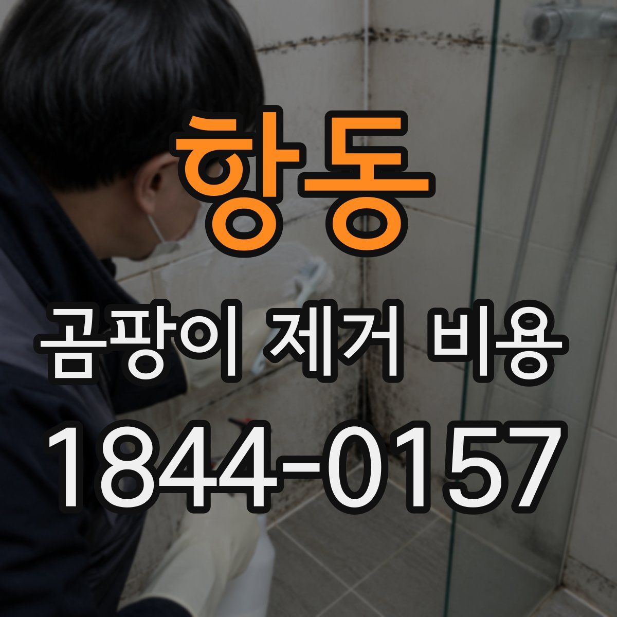 항동 곰팡이 제거 비용
