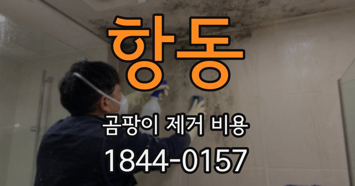 항동 곰팡이 제거 비용