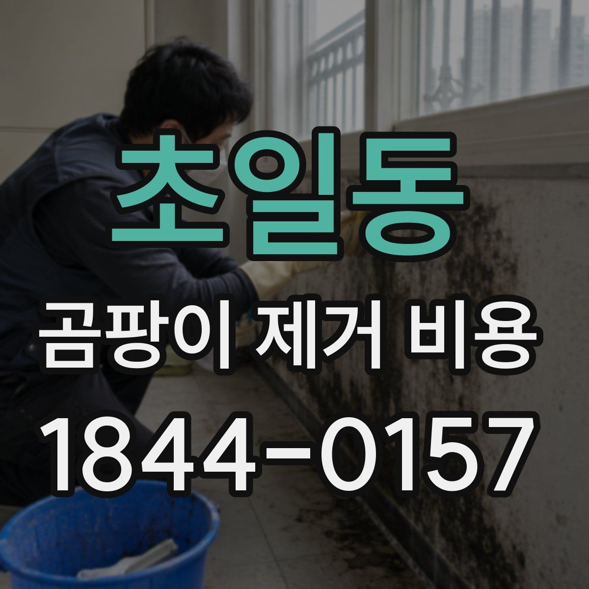 초일동 곰팡이 제거 비용 결로와 누수 원인별로 다른 계산 방식