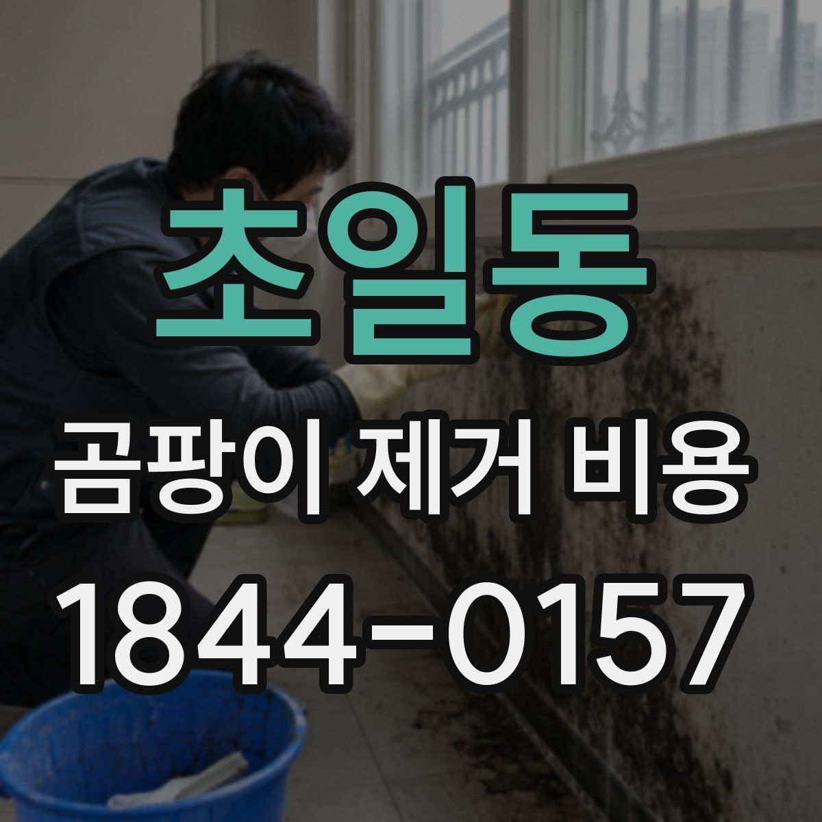 초일동 곰팡이 제거 비용