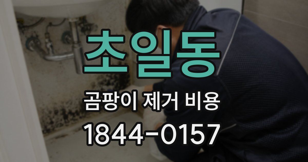 초일동 곰팡이 제거 비용