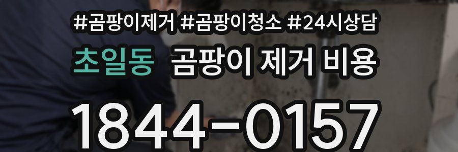 초일동 곰팡이 제거 비용