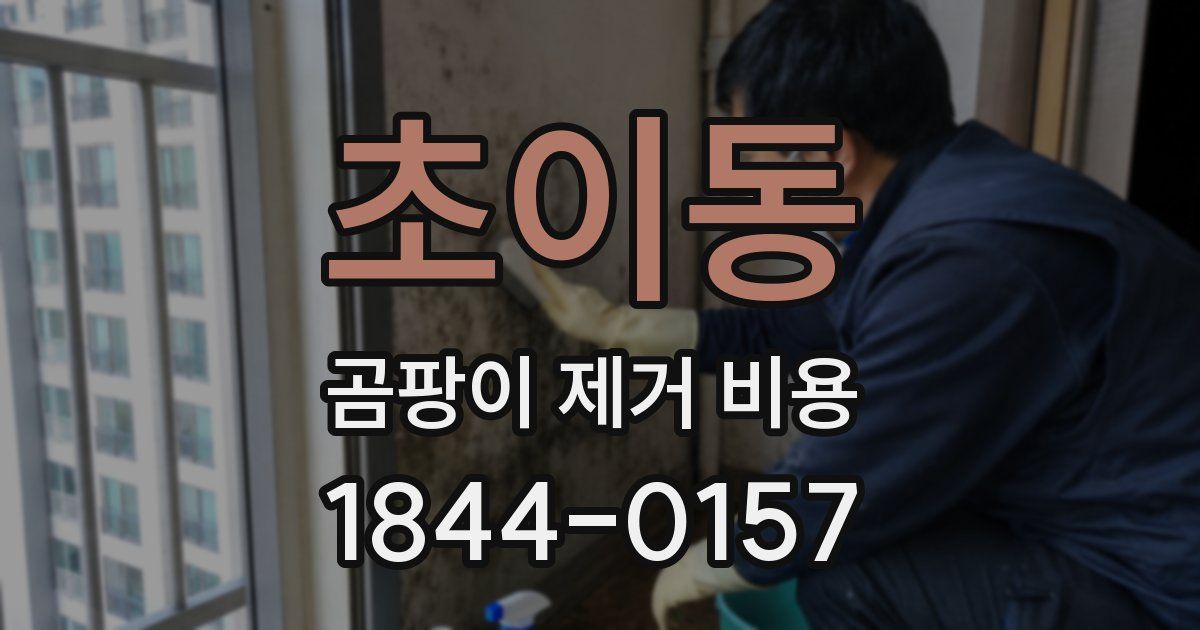 초이동 곰팡이 제거 비용