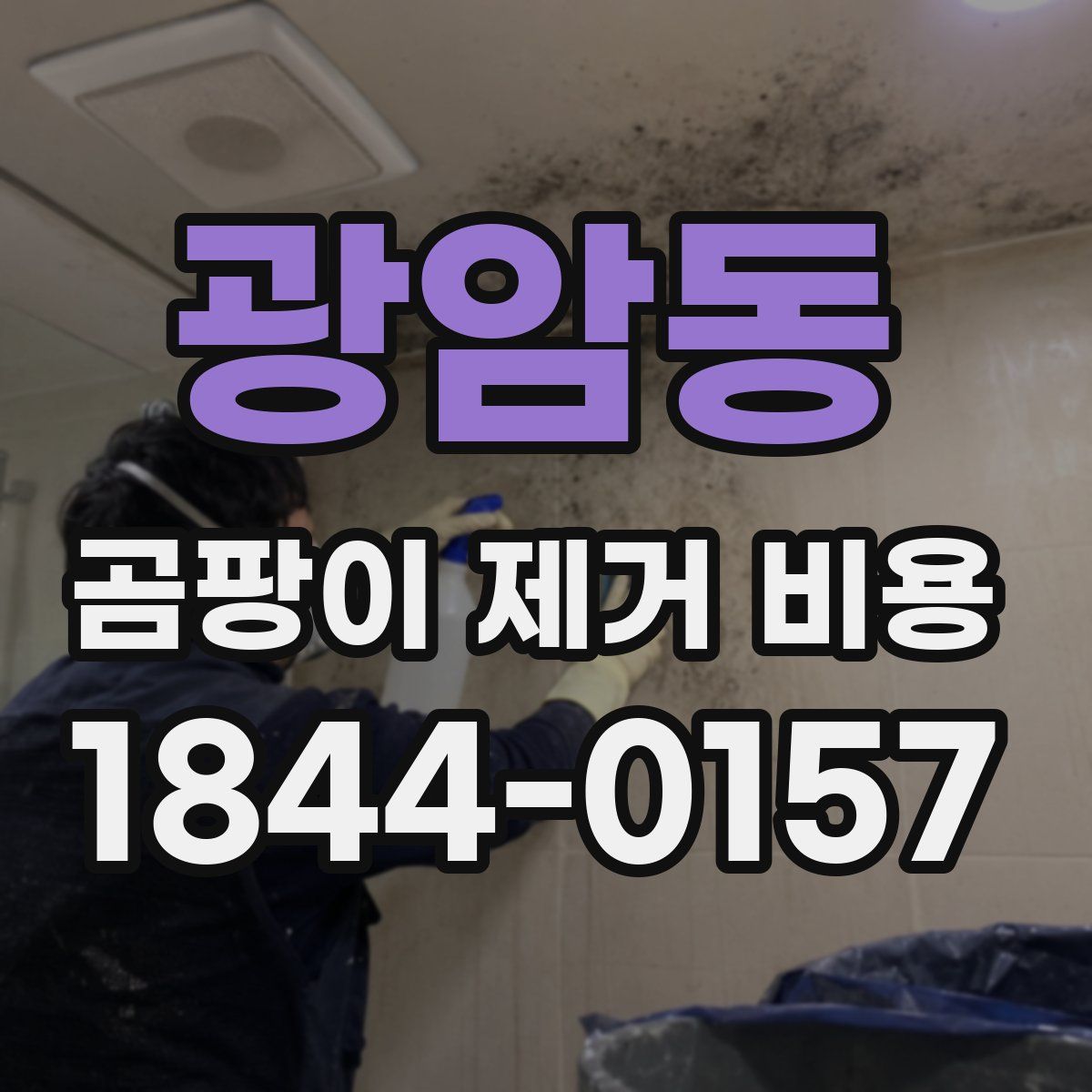 광암동 곰팡이 제거 비용