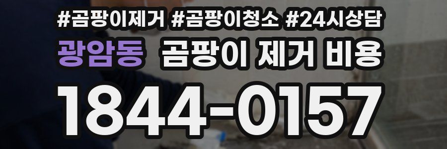 광암동 곰팡이 제거 비용