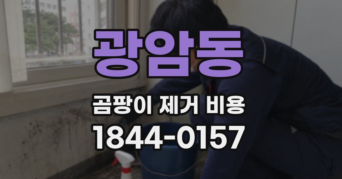 광암동 곰팡이 제거 비용