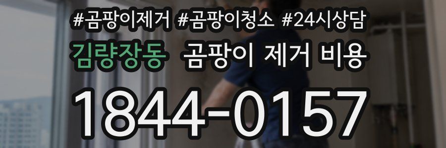 김량장동 곰팡이 제거 비용