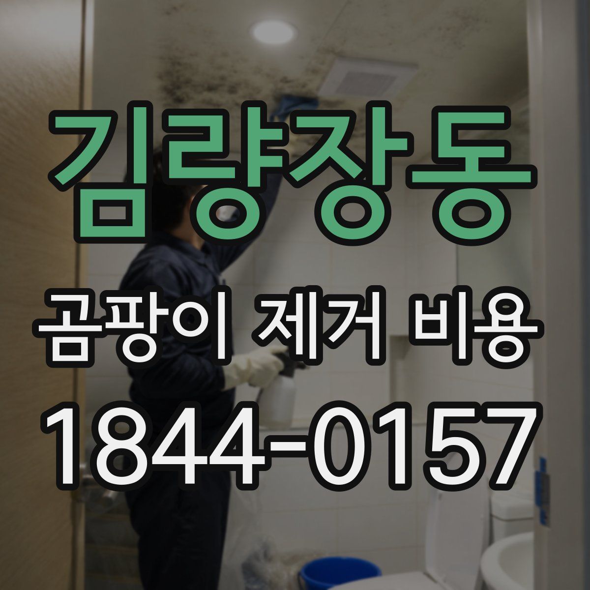 김량장동 곰팡이 제거 비용