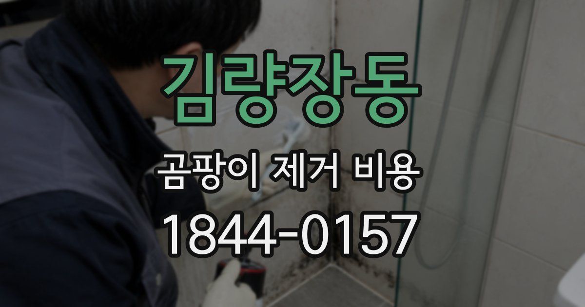 김량장동 곰팡이 제거 비용