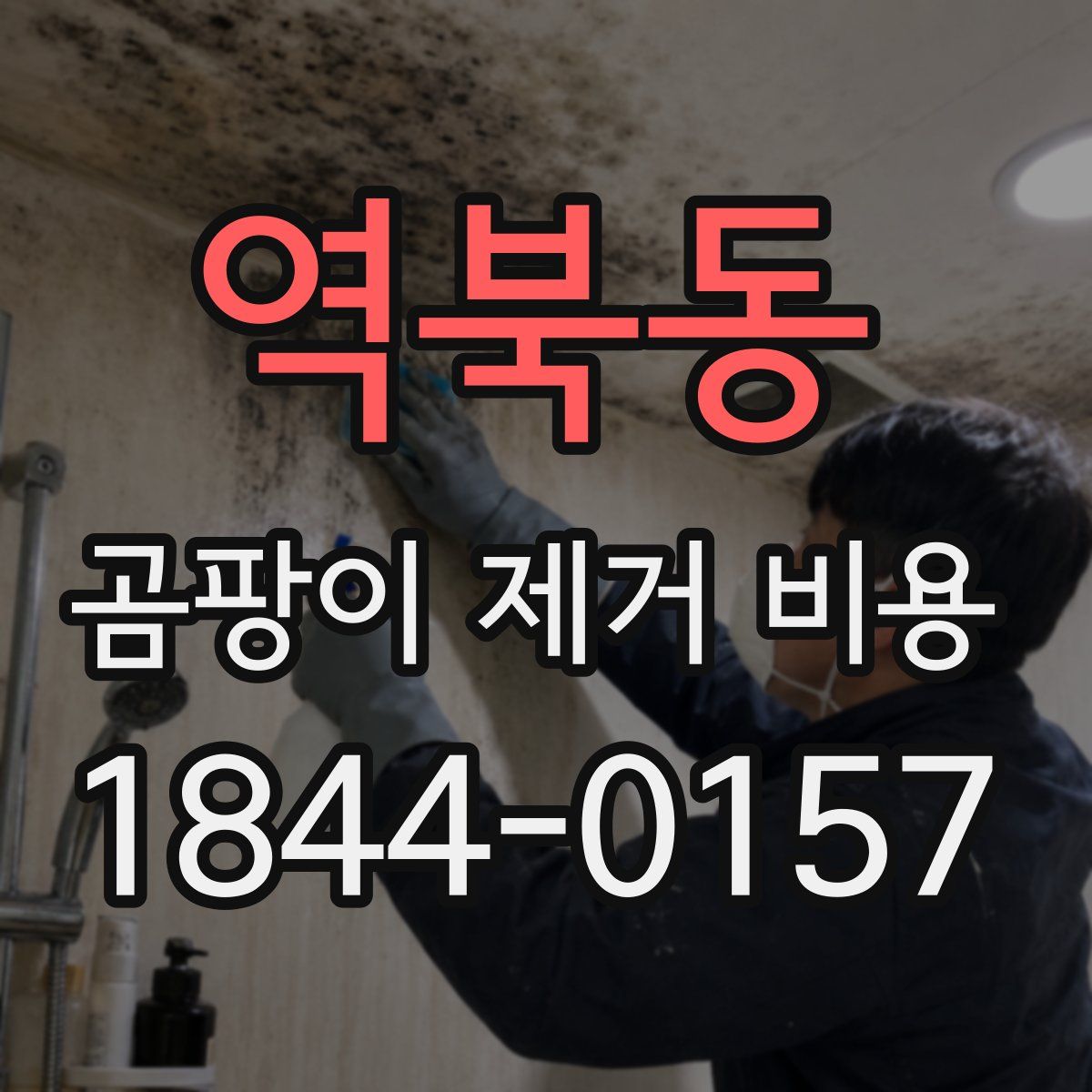 역북동 곰팡이 제거 비용
