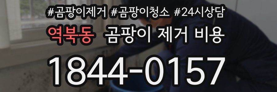 역북동 곰팡이 제거 비용