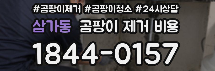 삼가동 곰팡이 제거 비용