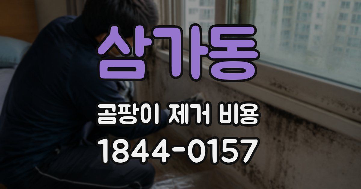 삼가동 곰팡이 제거 비용