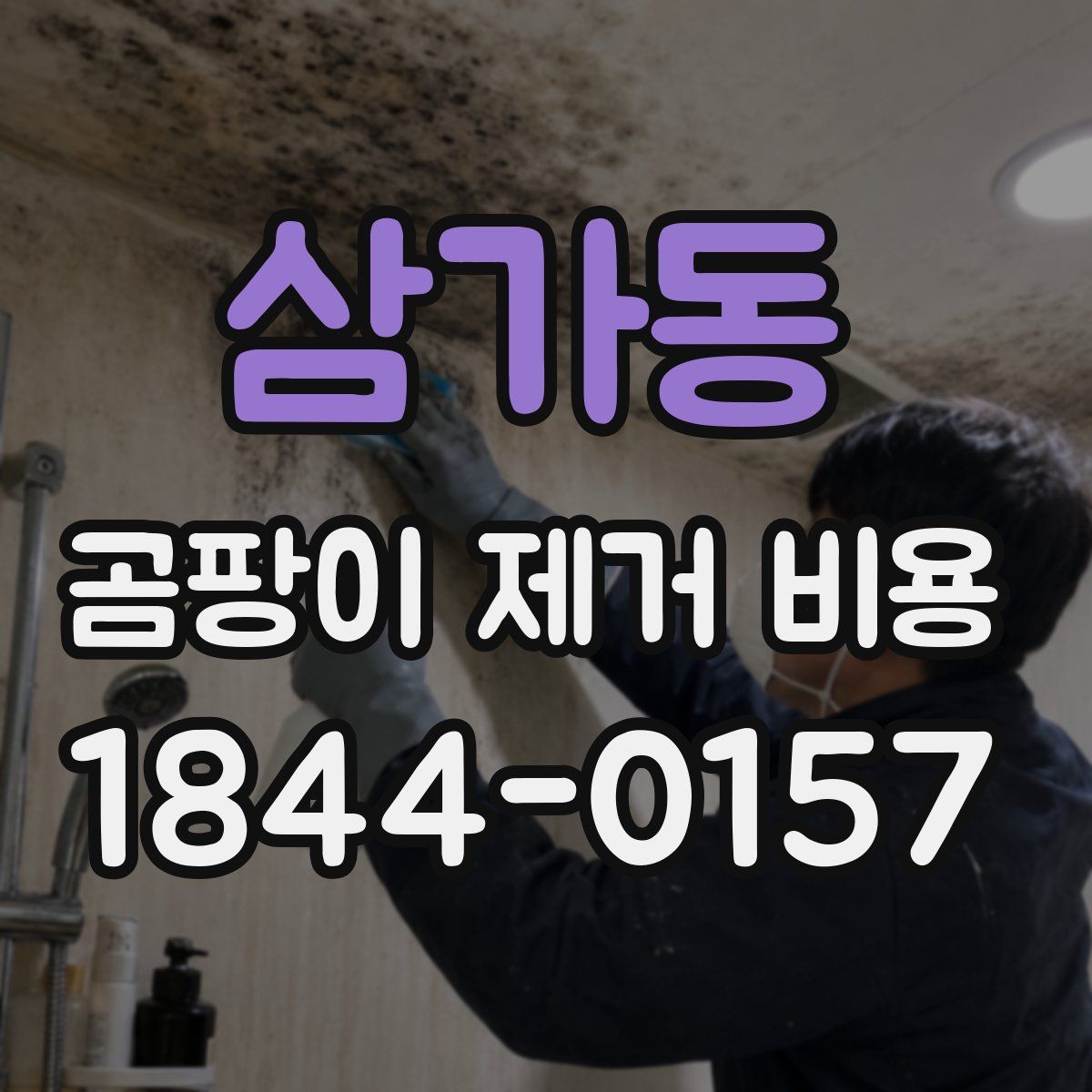 삼가동 곰팡이 제거 비용