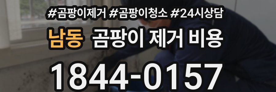 남동 곰팡이 제거 비용