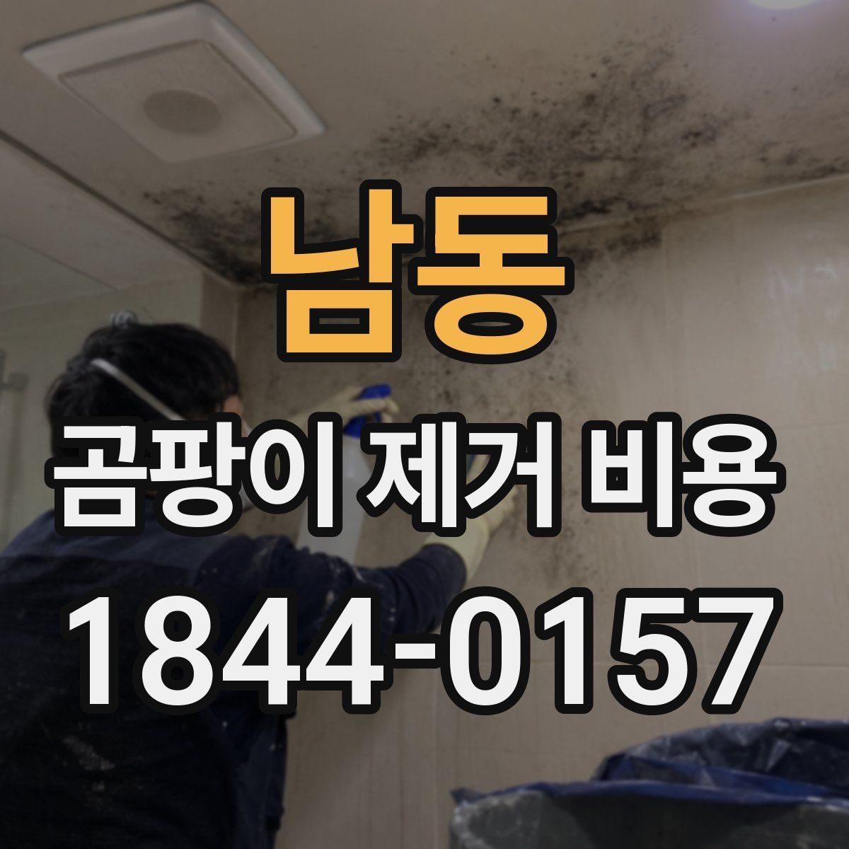 남동 곰팡이 제거 비용