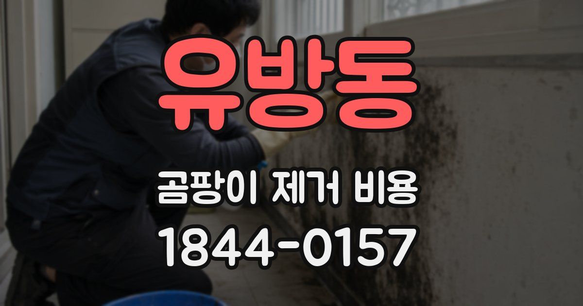 유방동 곰팡이 제거 비용