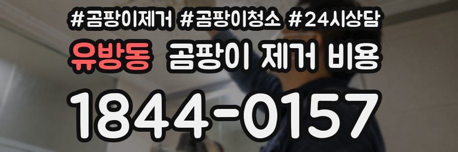 유방동 곰팡이 제거 비용