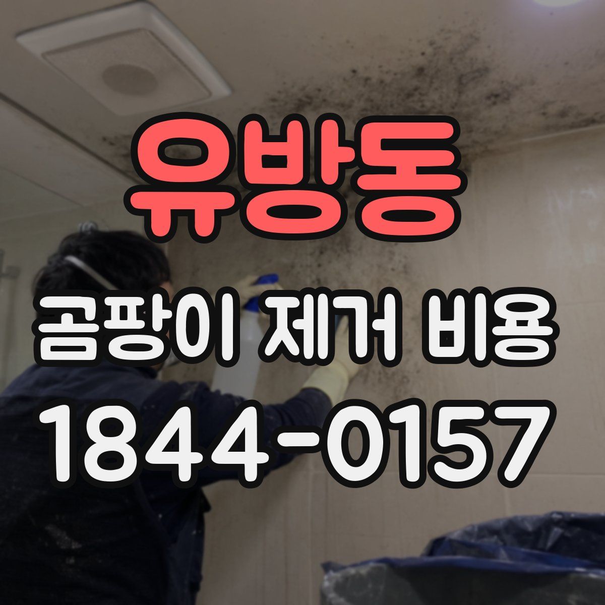 유방동 곰팡이 제거 비용