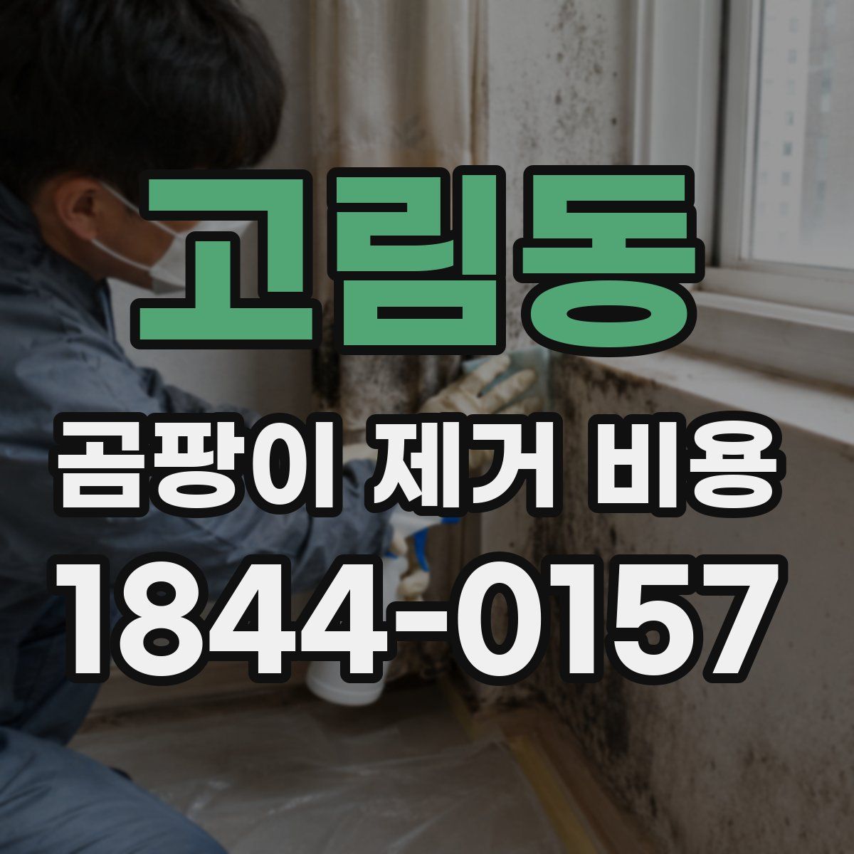 고림동 곰팡이 제거 비용