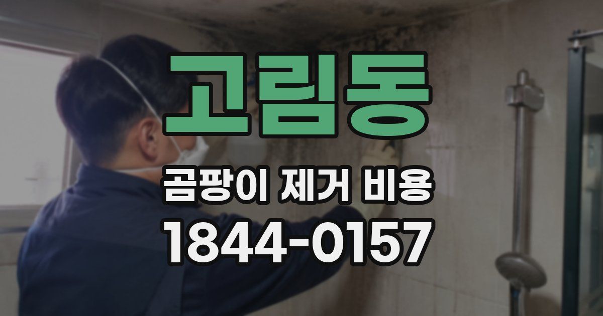고림동 곰팡이 제거 비용
