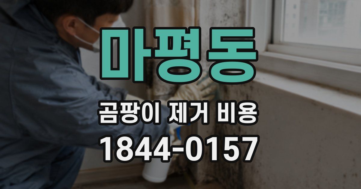 마평동 곰팡이 제거 비용
