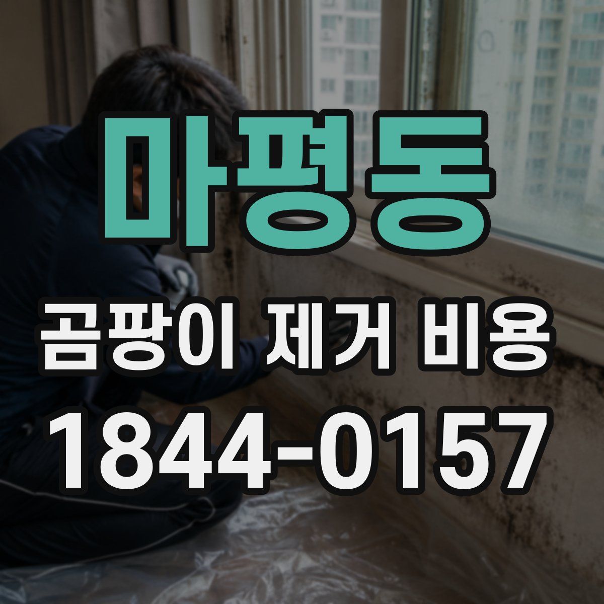 마평동 곰팡이 제거 비용