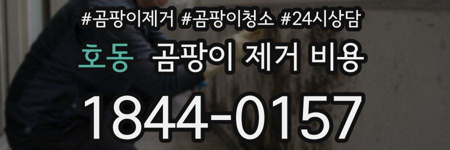 호동 곰팡이 제거 비용