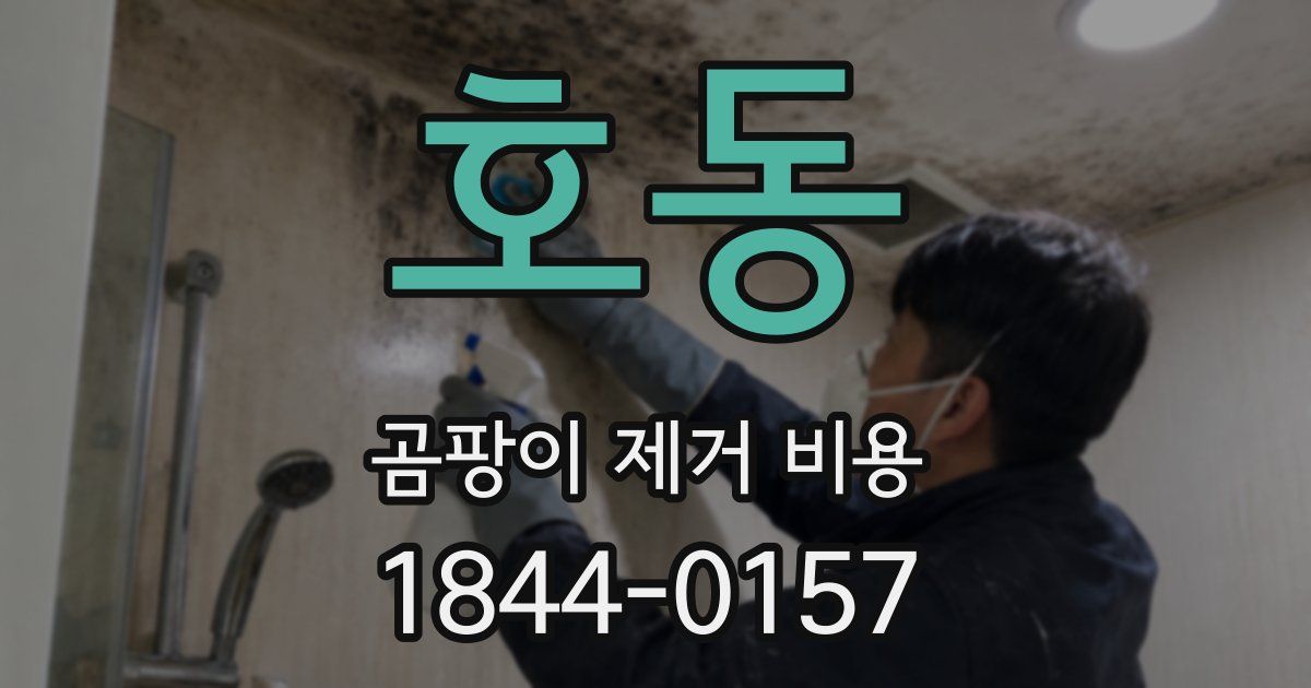 호동 곰팡이 제거 비용