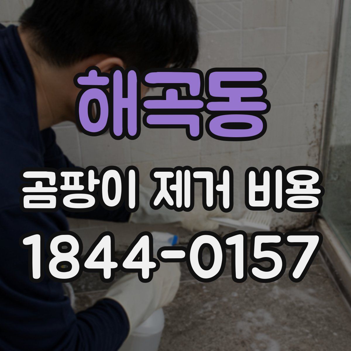 해곡동 곰팡이 제거 비용